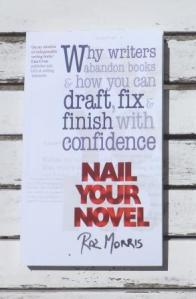 nail your novel
